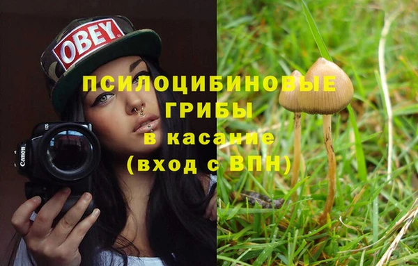 прущий лед Новозыбков