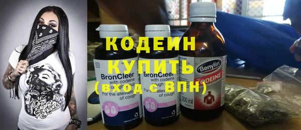 прущий лед Новозыбков