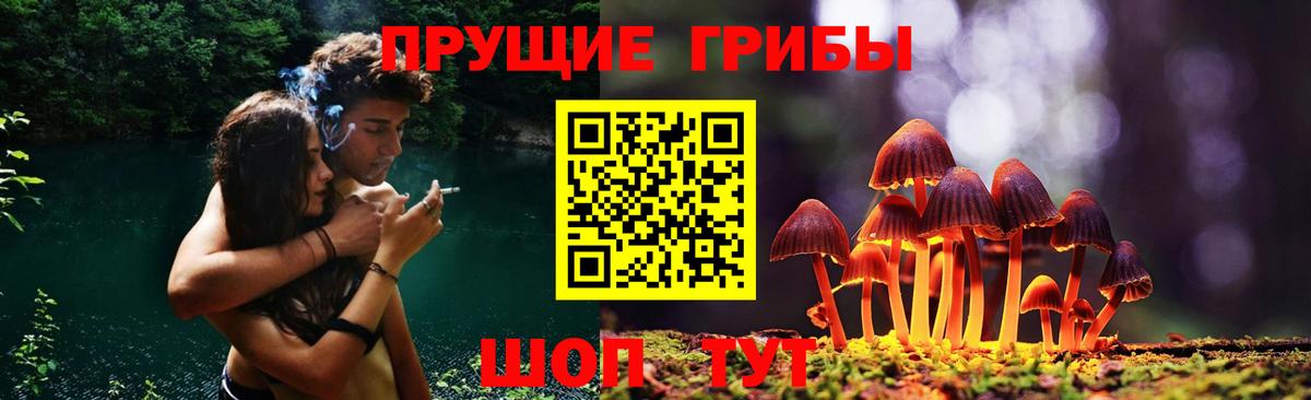 Новотроицк  Галлюциногенные грибы прущие грибы  Вход с VPN 