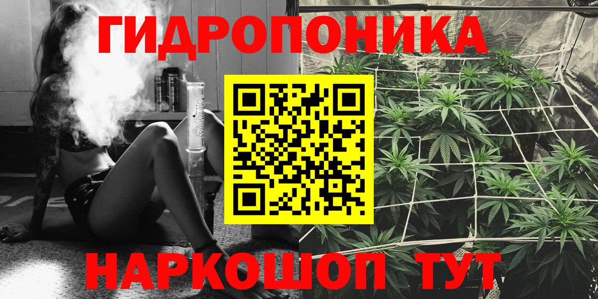 Бошки марихуана семена Новотроицк